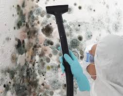 Best Forensic Mold Investigation  in East Shoreham, NY